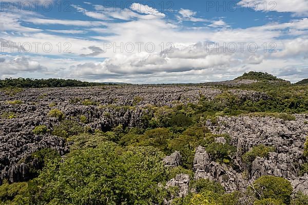 Tsingy de Ankarana National Park