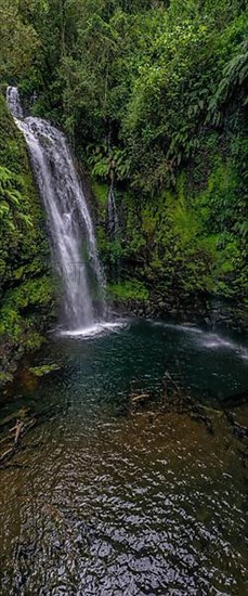 Sacred Waterfall of Montagne dAmbre National Park
