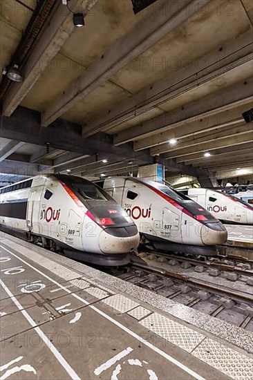 TGV Duplex trains SNCF high speed train at Gare Montparnasse station in Paris