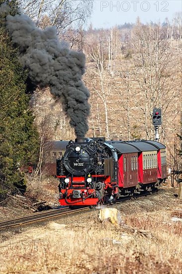 Steam train of the Brockenbahn railway leaving Drei Annen Hohne