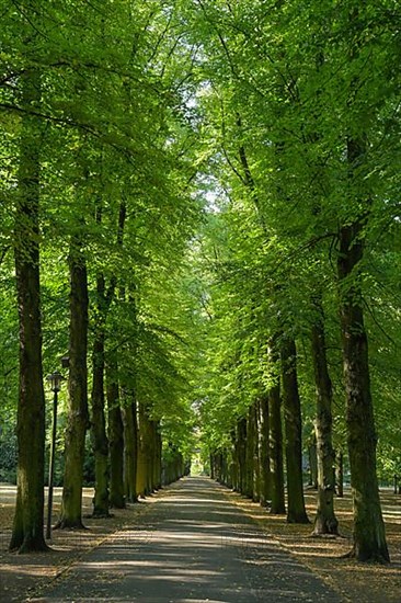 Albert-Brodersen-Allee