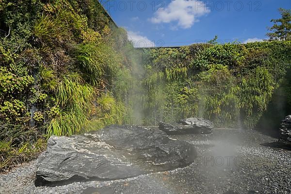 Water Gardens