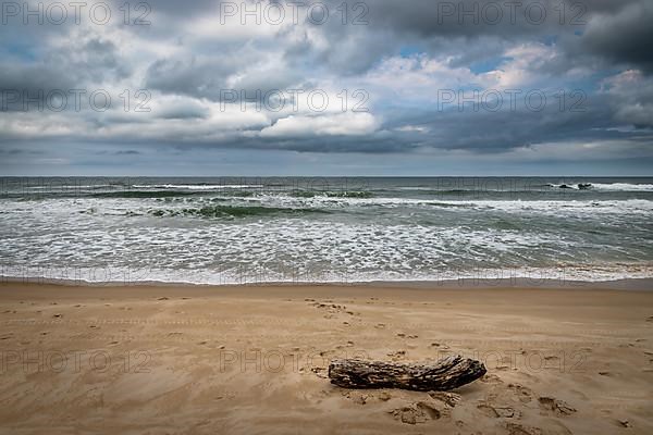 Log on beach in Florianopolis Brazil