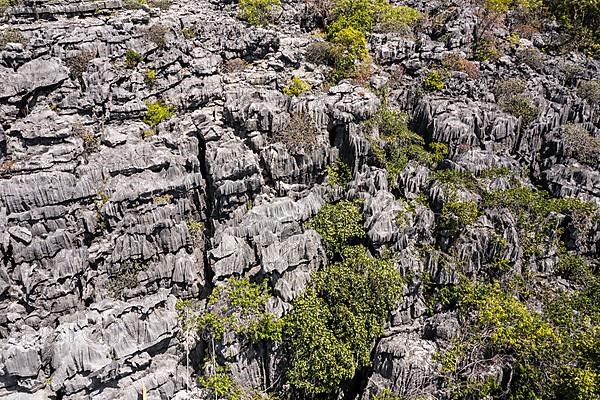 Tsingy de Ankarana National Park