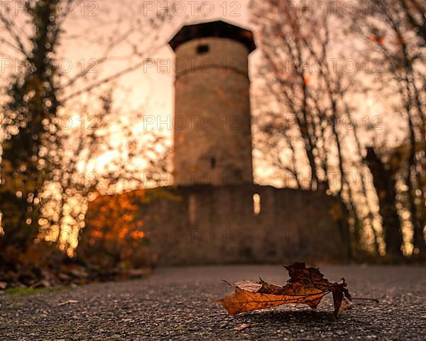 Wartberg Tower in autumn evening light with leaf in foreground