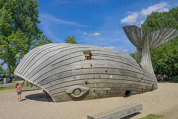 Water playground