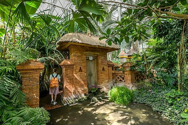 Tropical Hall Balinese Garden