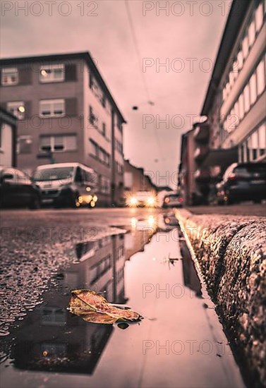 Autumn leaf in street puddle