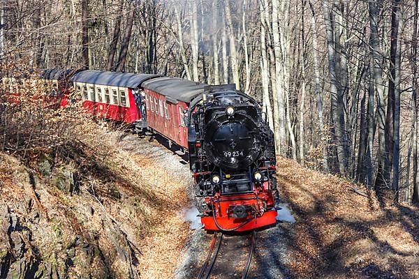 Steam train of the Brockenbahn railway leaving Wernigerode