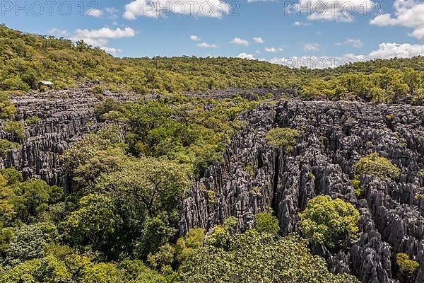 Tsingy de Ankarana National Park