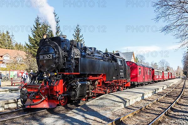 Steam train of the Brockenbahn railway steam railway at Drei Annen Hohne station