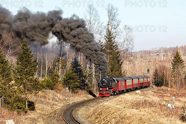 Steam train of the Brockenbahn railway leaving Drei Annen Hohne