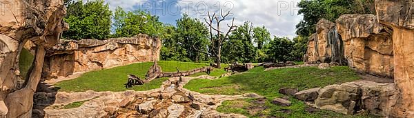 Gorilla Mountain Hanover Zoo Panorama Germany