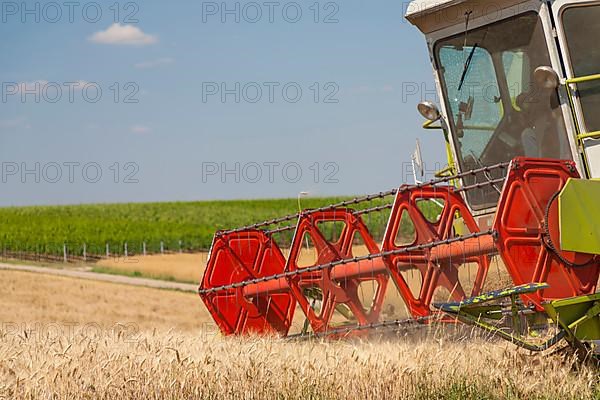 Grain harvest