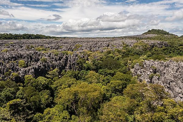 Tsingy de Ankarana National Park