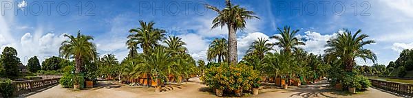 Bad Pyrmont Panorama Palm Garden