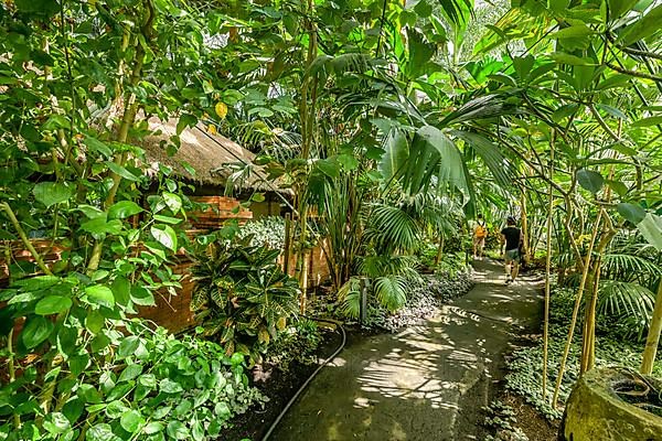 Tropical Hall Balinese Garden