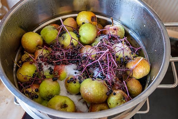 Apples and elderberries in a juicer