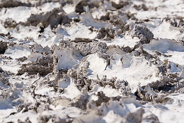 Drought mud patterns with cracks on the ground