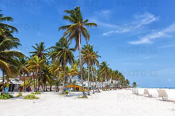 Beach Playa Spratt Bight Travel Holiday Vacation with Palm Trees by the Sea on San Andres Island in Colombia