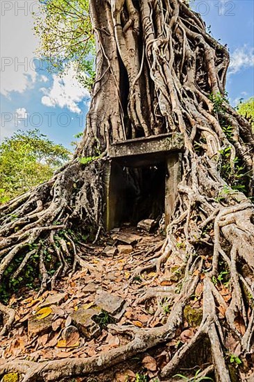 Sambor Prei Kuk Pre-Angkorian temple complex ruins. Kampong Thom