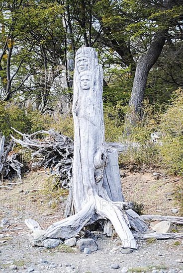 Two heads carved in a tree trunk on Brazo Rico lakeshore
