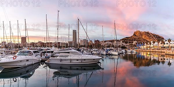 Port of Alicante in the evening Port dAlacant Marina with boats and view of Castillo Castle holiday travel city panorama in Alicante