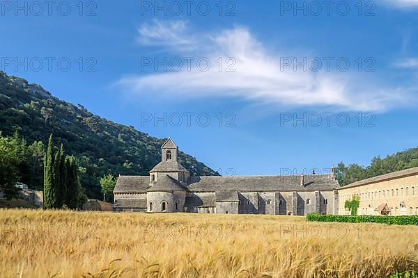 Abbey Notre-Dame de Senanque