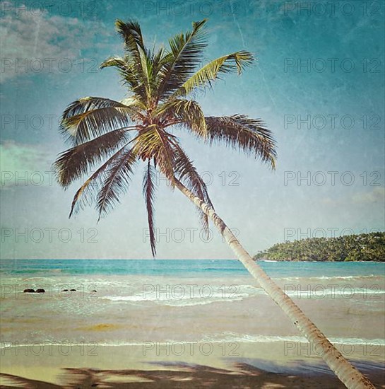 Vintage retro hipster style travel image of tropical paradise idyllic beach with palm with grunge texture overlaid. Sri Lanka