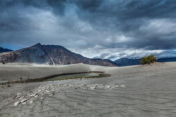 High dynamic range image of sand dunes in Himalayas. Hunder