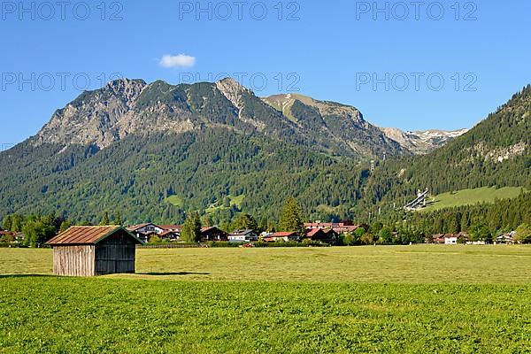 View from the Loretto meadows to the hay harvest and the mountains near Oberstdorf