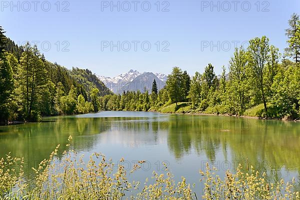 Auwaldsee near Fischen in Allgaeu