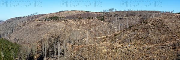 Environmental Destruction Climate Crisis Climate Change Environment Destruction Panorama Landscape Nature Forest Dieback at the Brocken in the Harz Mountains