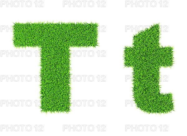 Grass letter T