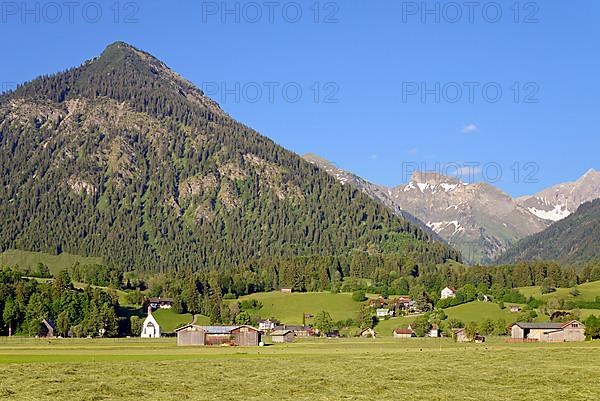 View from the Loretto meadows to the hay harvest and to the mountain Schattenberg 1721m