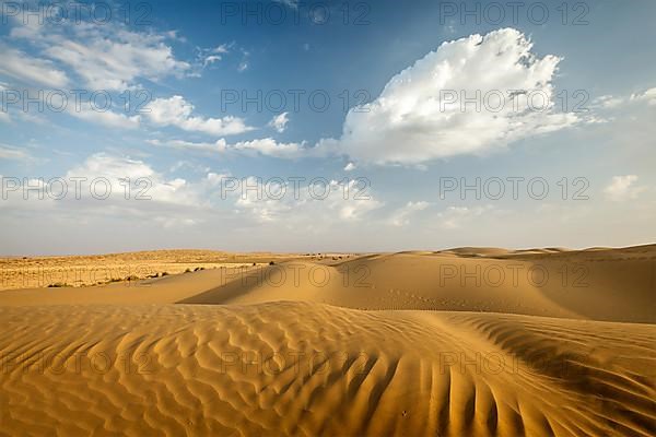 Dunes of Thar Desert. Sam Sand dunes