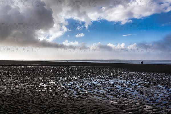 View of the dark mudflats in autumn