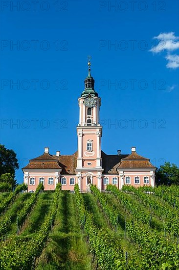 Cistercian monastery on Lake Constance Baroque pilgrimage church Church in Birnau