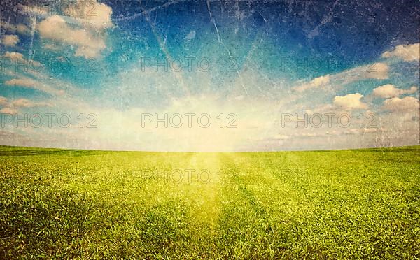 Sunset sun and field of green fresh grass under blue sky