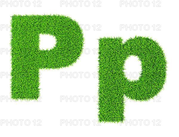 Grass letter P