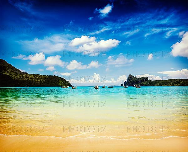 Vintage retro effect filtered hipster style travel image of long tail boats in bay. Phi Phi Island