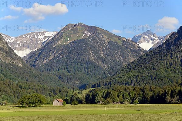 View from the Loretto meadows to the hay harvest and to the mountain Riefenkopf 1748m