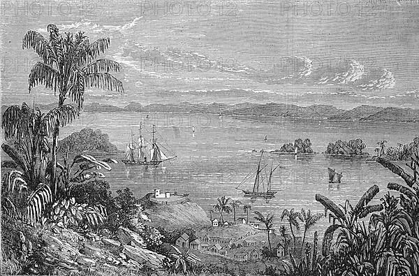 The Bay of Samana in 1869