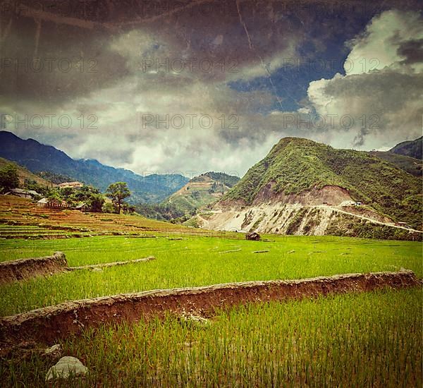 Vintage retro hipster style travel image of rice field terraces