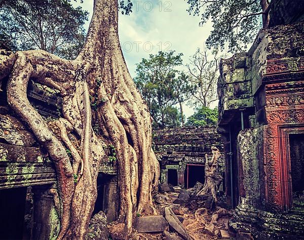 Vintage retro effect filtered hipster style travel image of ancient ruins with tree roots