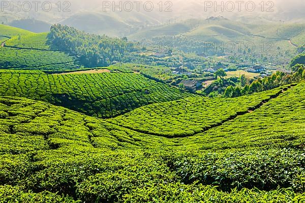 Kerala India travel background