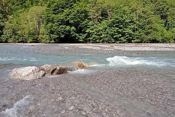 Stillach mountain river with rapids