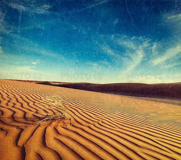 Vintage retro hipster style travel image of dunes of Thar Desert. Sam Sand dunes