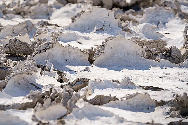 Drought mud patterns with cracks on the ground