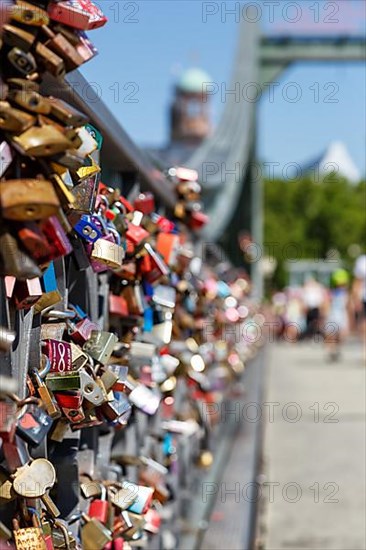 Love locks at the Eiserner Steg bridge love in Frankfurt